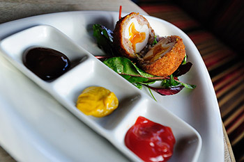 Scotch egg